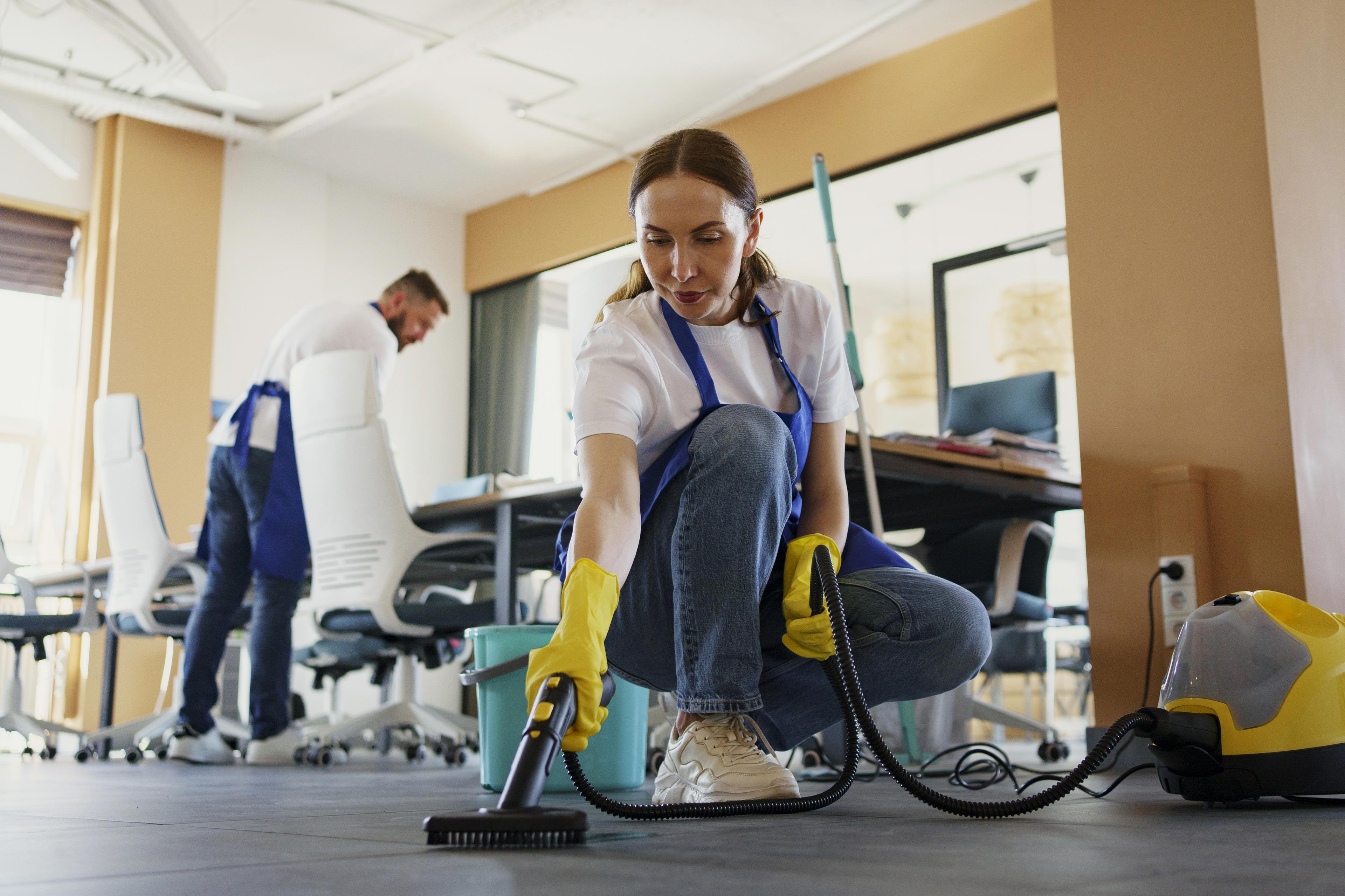 Professional home cleaning service